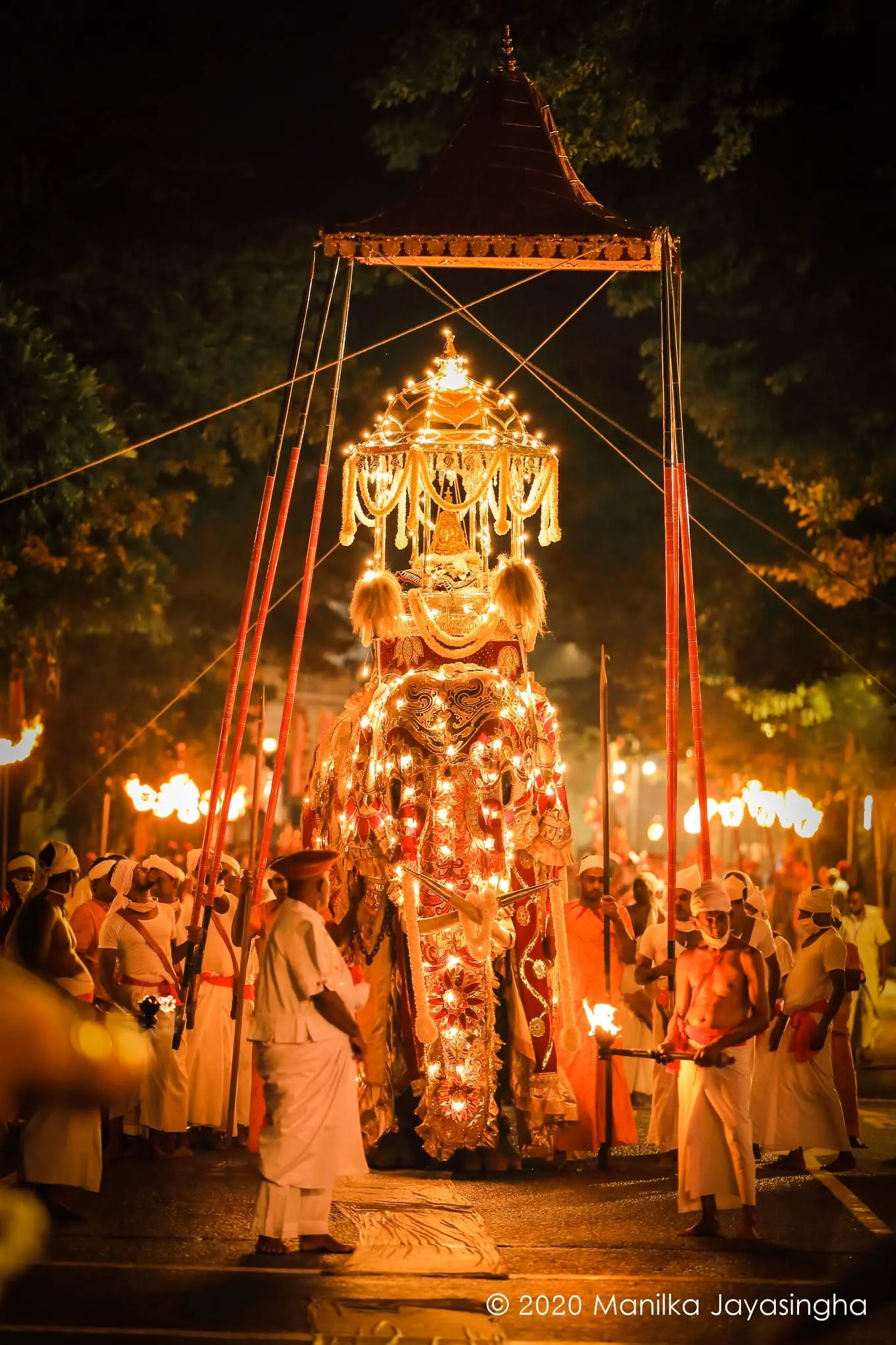 Esala Perahera at night with the illuminated tusker and torchbearers